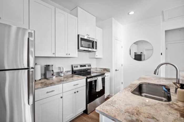 Fully stocked modern kitchen in a Houston condo